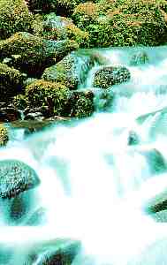 Bild: Wasserfall